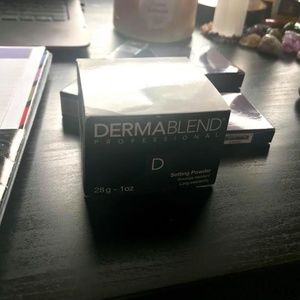 Dermablend Professional Setting Powder in Original